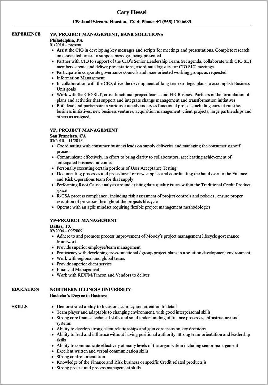 Vice President Account Management Resume