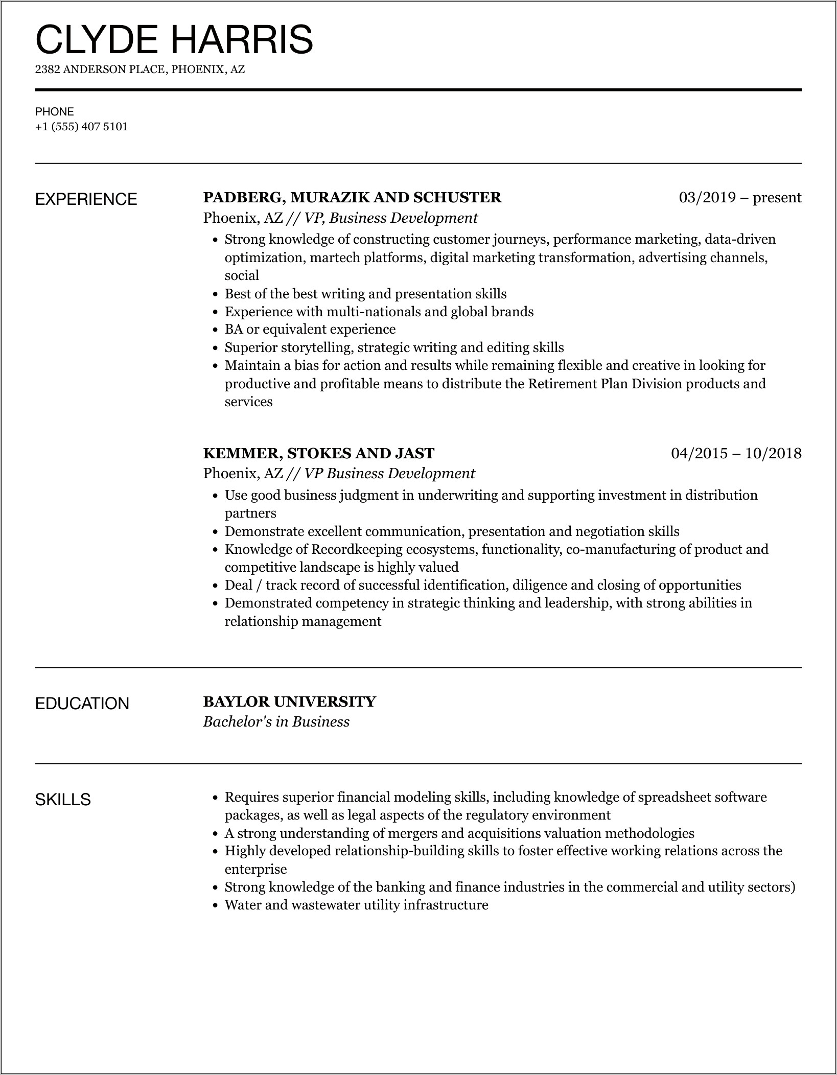 Vice President Resume Examples 2018