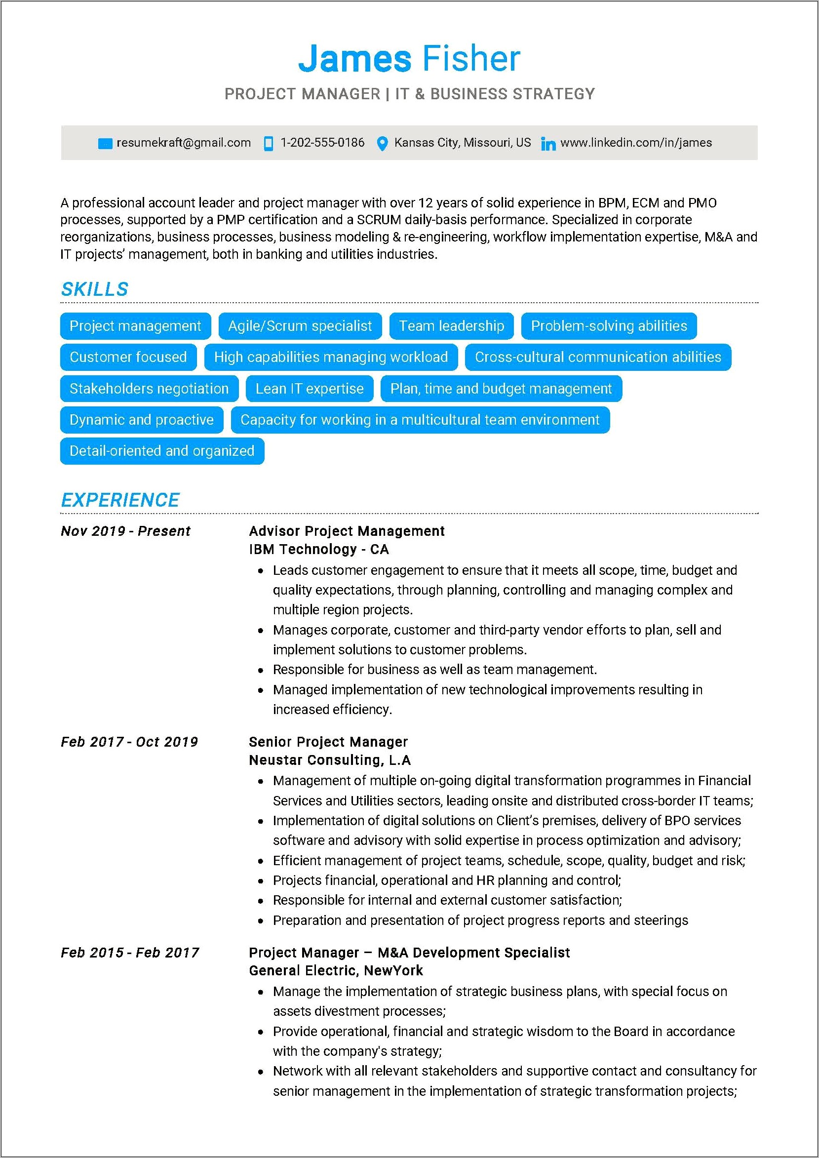 1 Page Project Manager Resume
