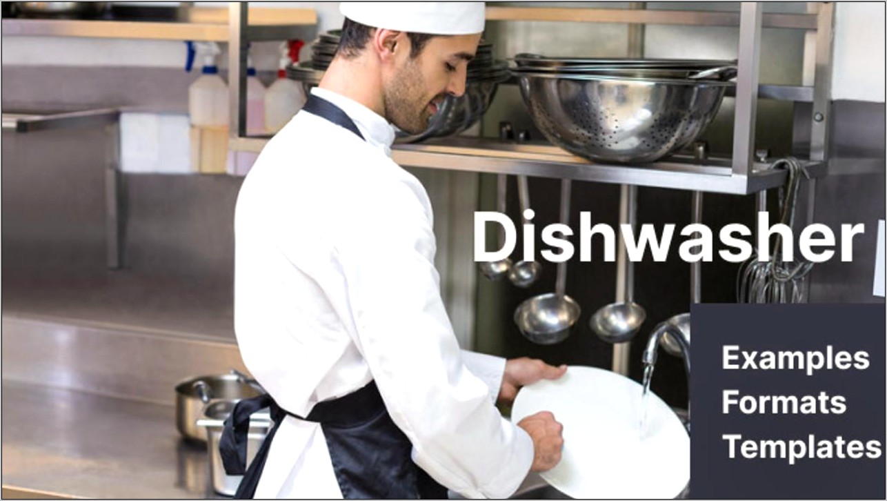 10+ Dishwasher Resume Samples Jobherojobhero