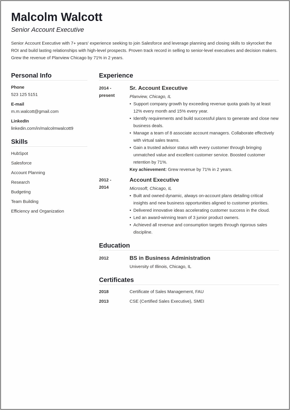 Assistant Account Executive Resume Sample