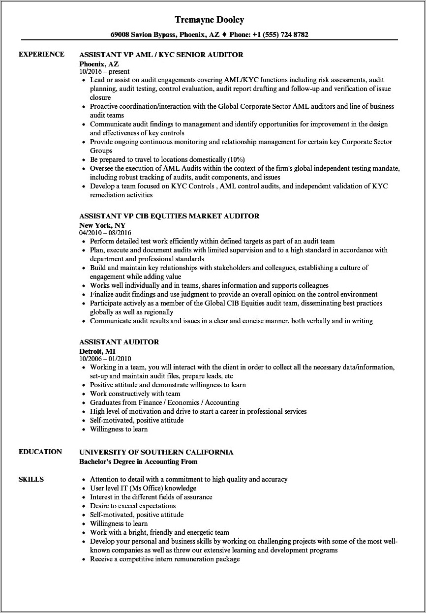 Audit Assistant Job Description Resume