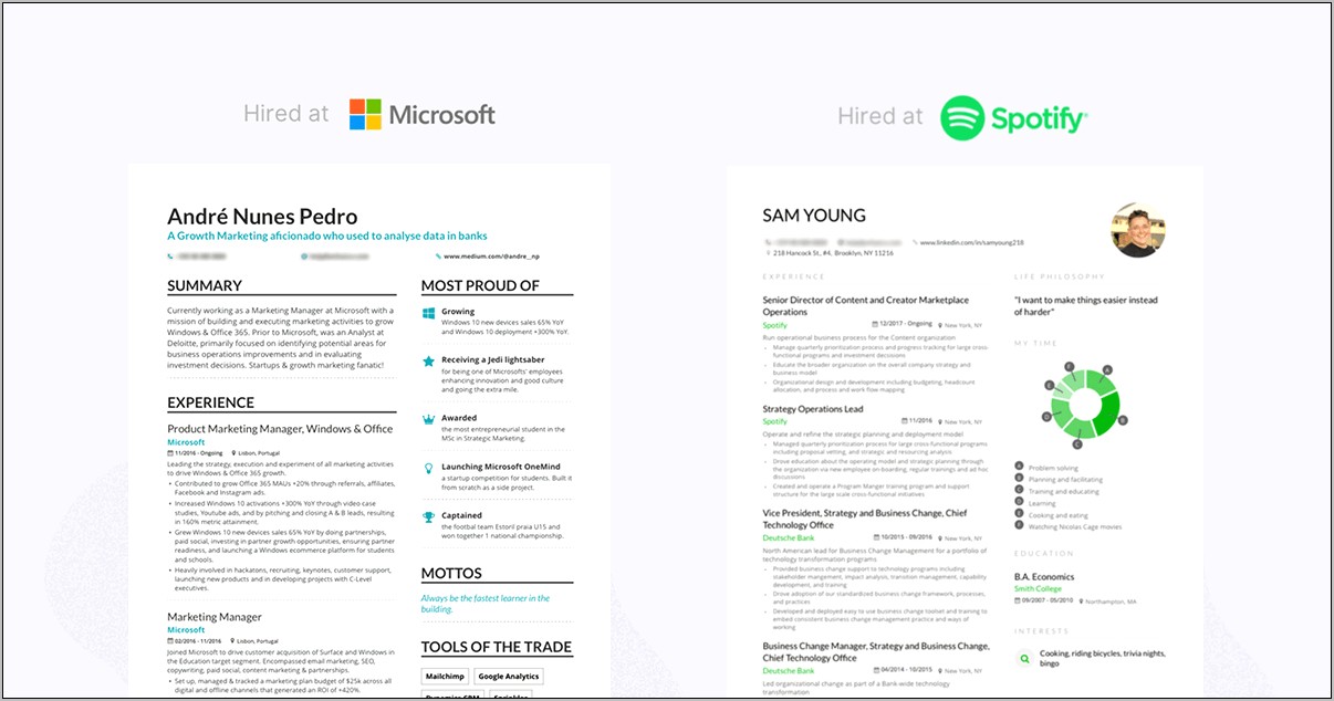Awesome Resume Examples For It