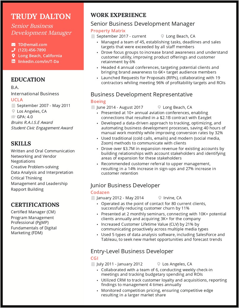 Best Business Development Director Resume