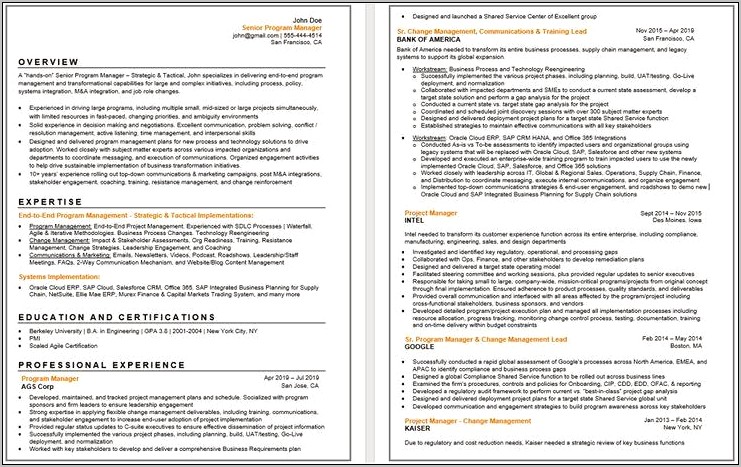 Best Erp Project Manager Resume