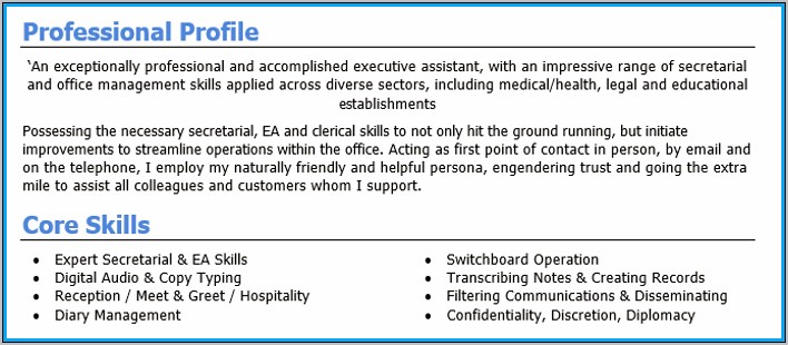 Best Examples Of Resume Profiles