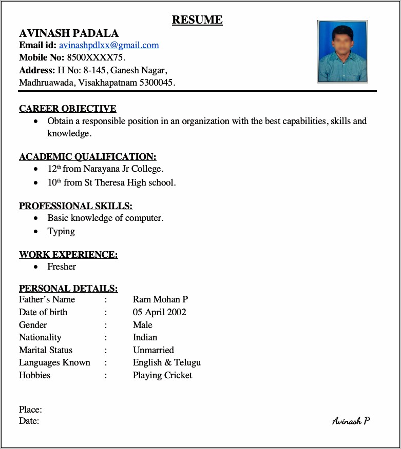 Best Professional Resumes For Freshers