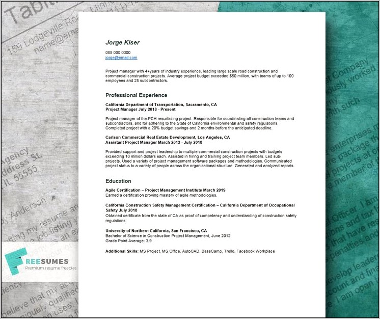 Best Project Management Resume Examples