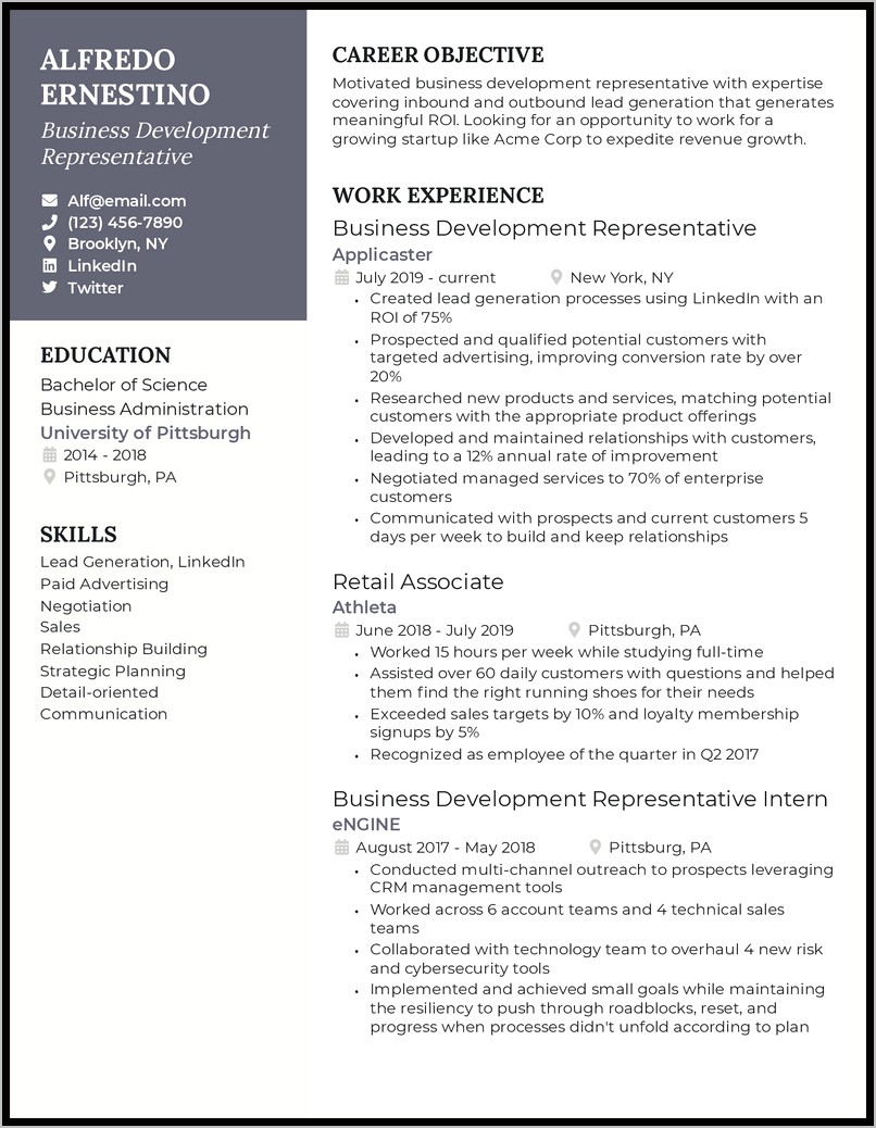 Business Development Manager Resume Summary