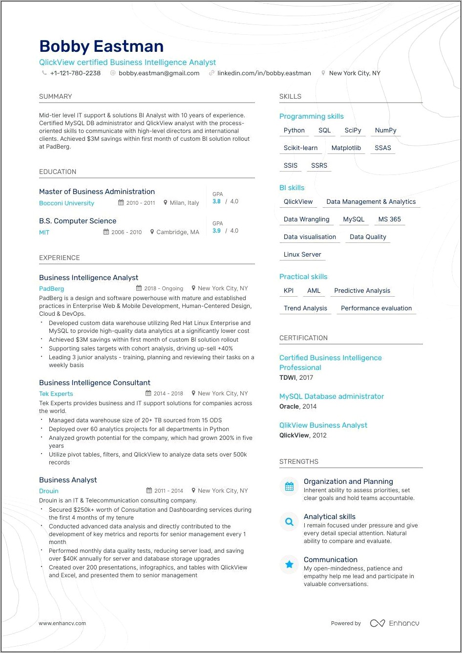 Business Intelligence Manager Sample Resume
