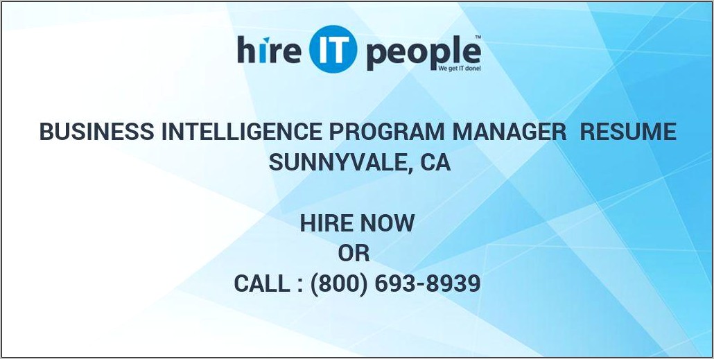 Business Intelligence Program Manager Resume