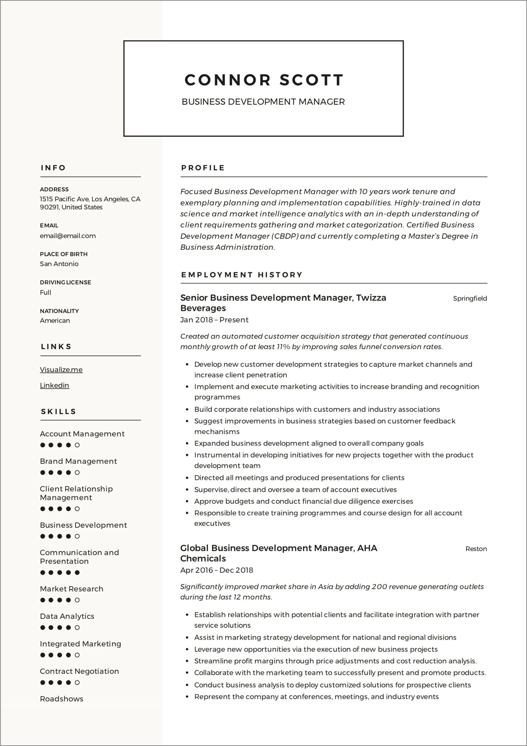 Business Relationship Manager Resume Format