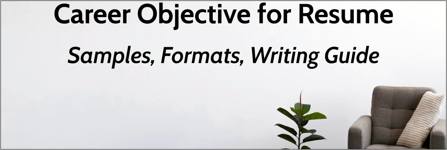 Career Goals Objectives Examples Resume