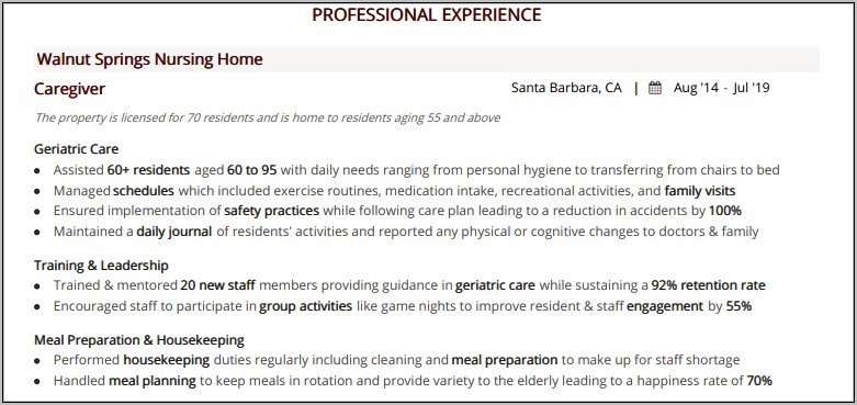 Caregiver Professional Summary Resume Example