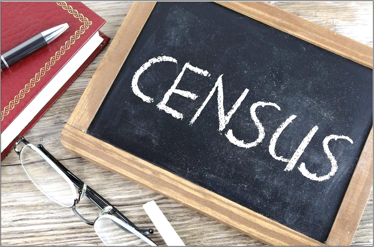 Census Enumerator Job Description Resume