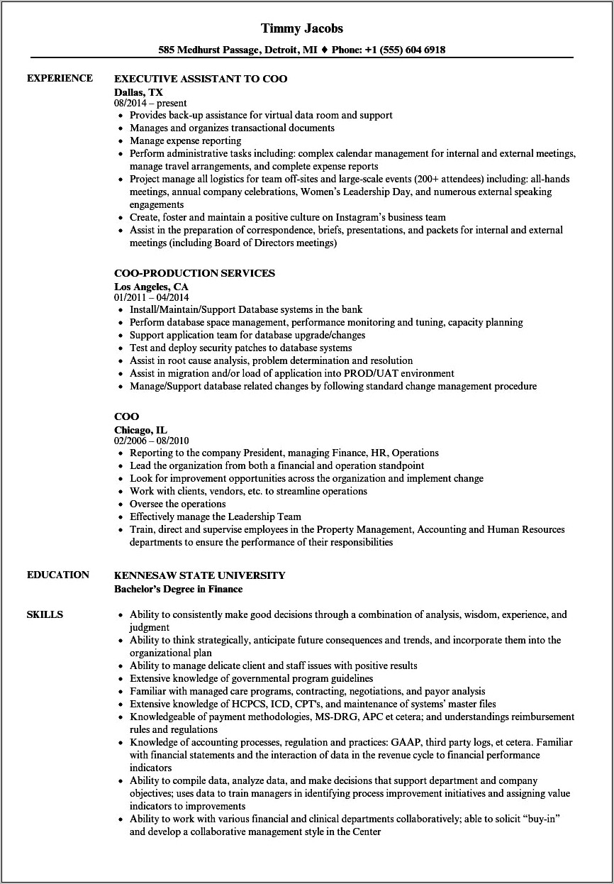 Chief Executive Officer Sample Resume