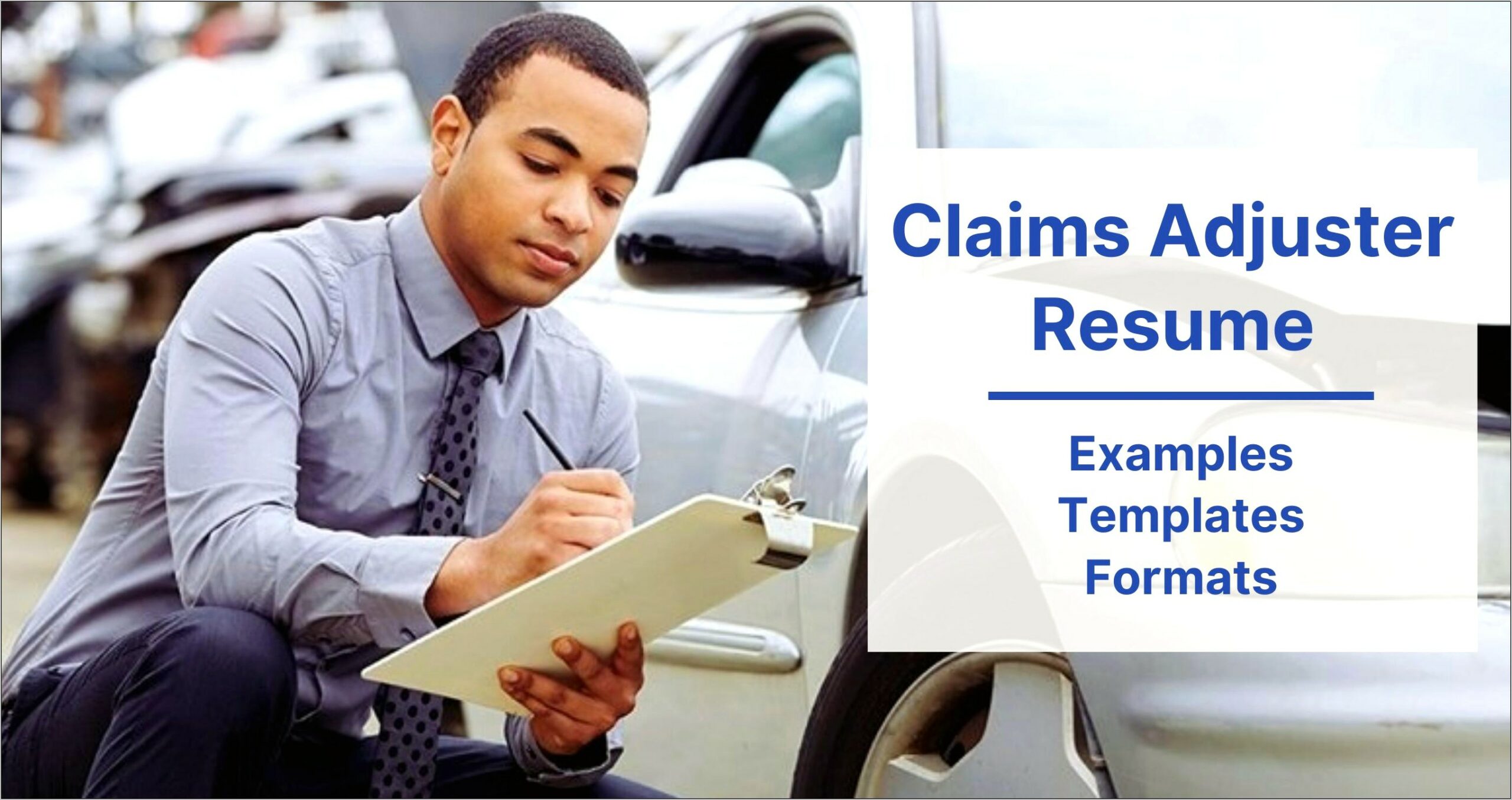 Claims Adjuster Resume Objective Examples