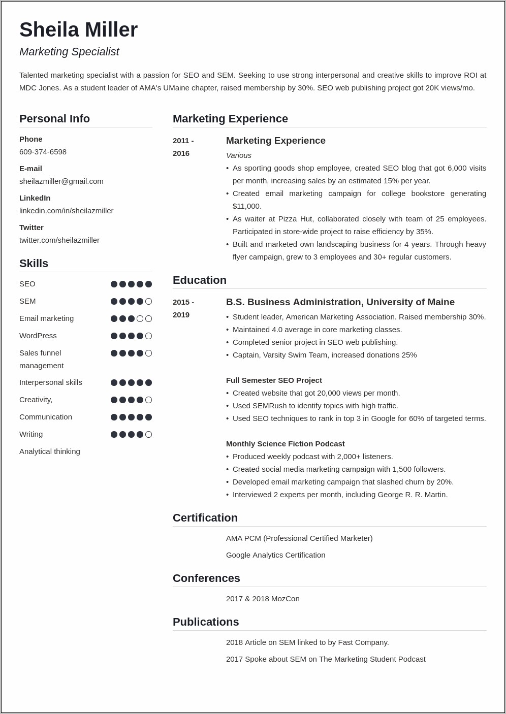 College Student Resume Summary Examples