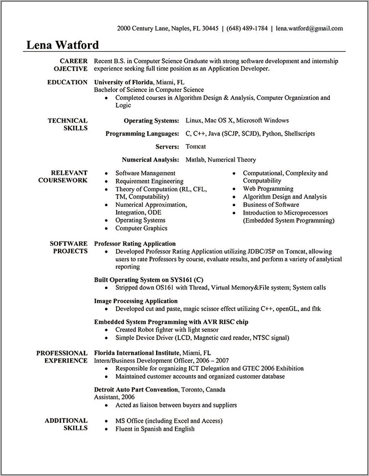 Computer Program Examples For Resume