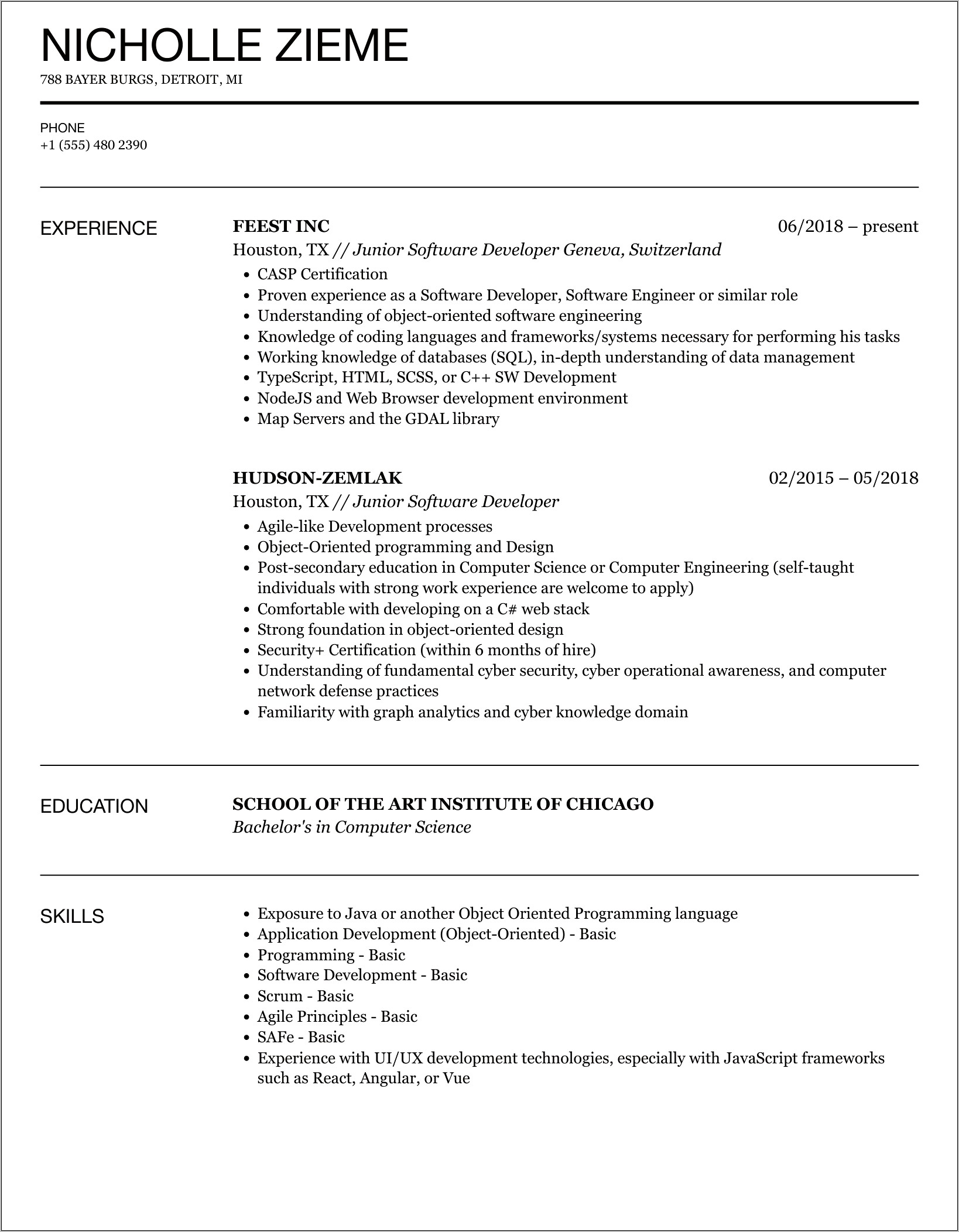 Computer Software Experience Resume Sample
