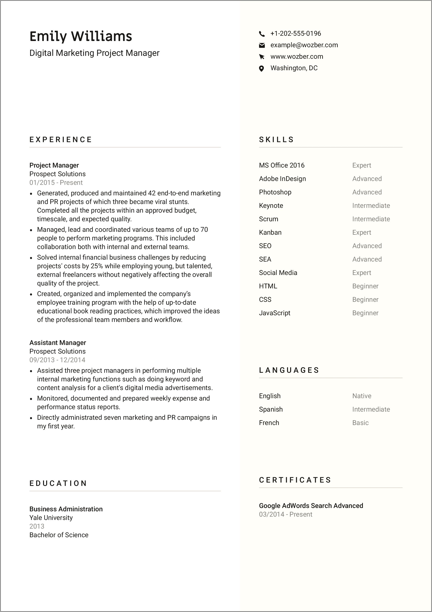 Creative Project Management Resume Examples