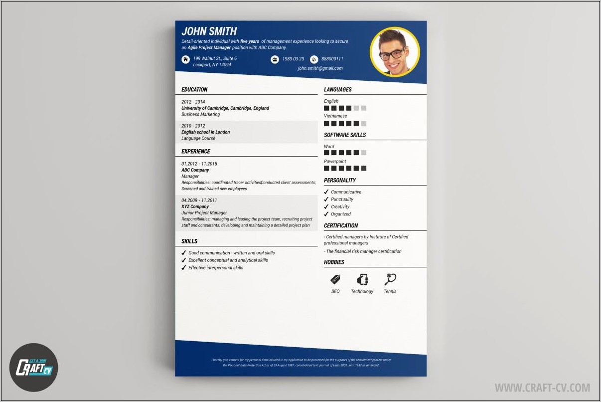 Custom Resume Format For Job