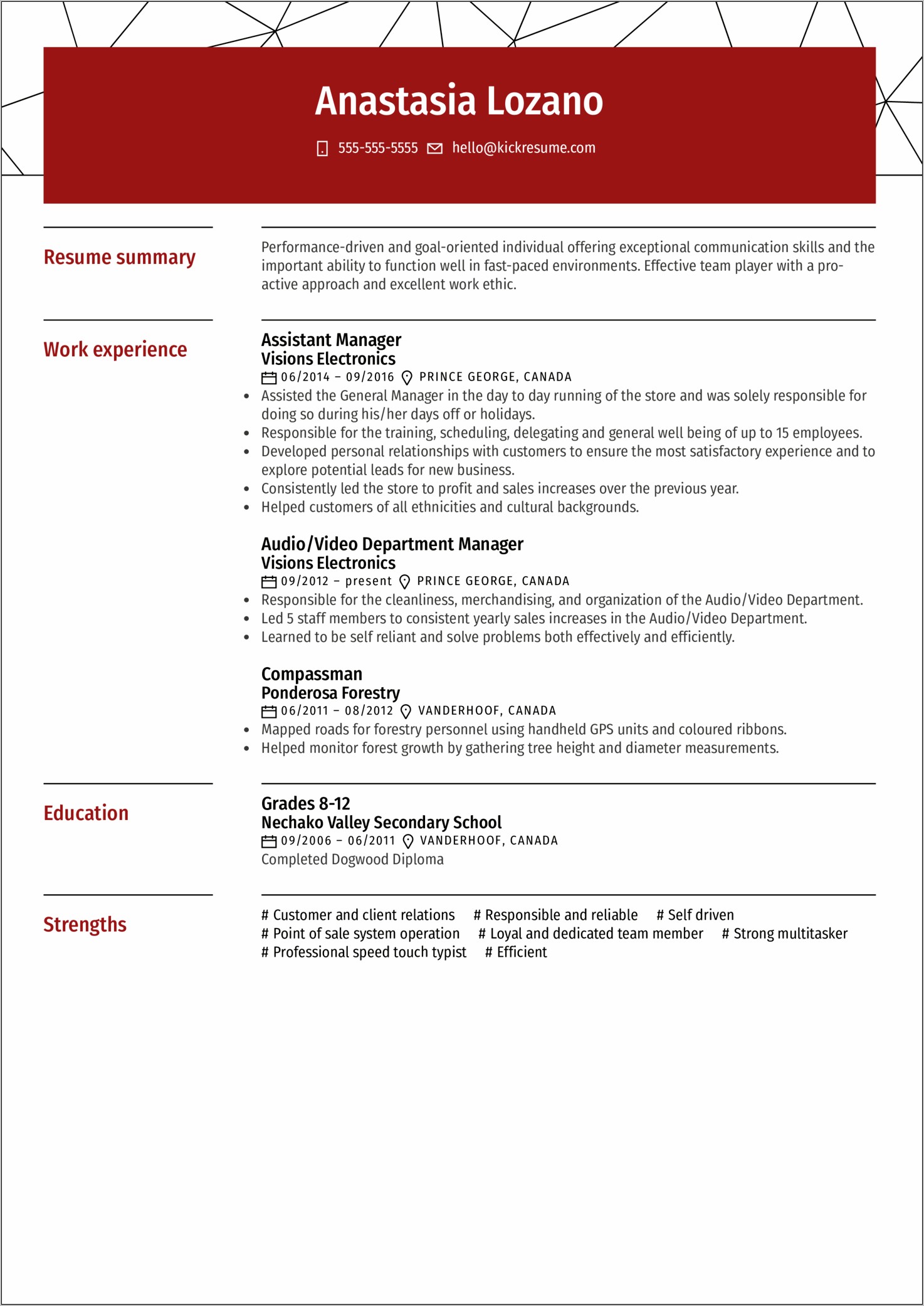 Customer Service Sample Resume Summary