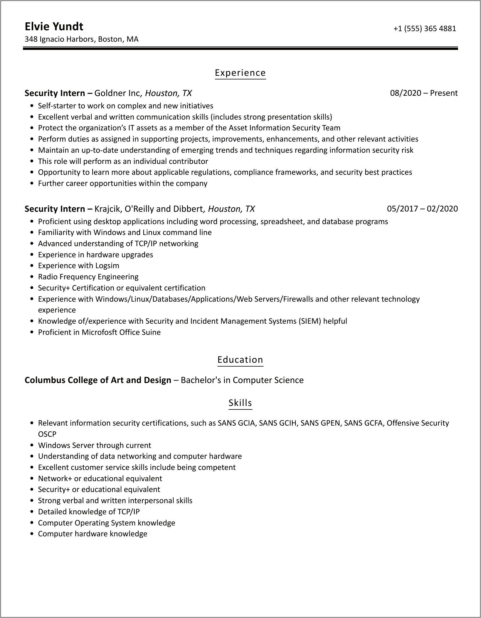 Cyber Security Intern Resume Example