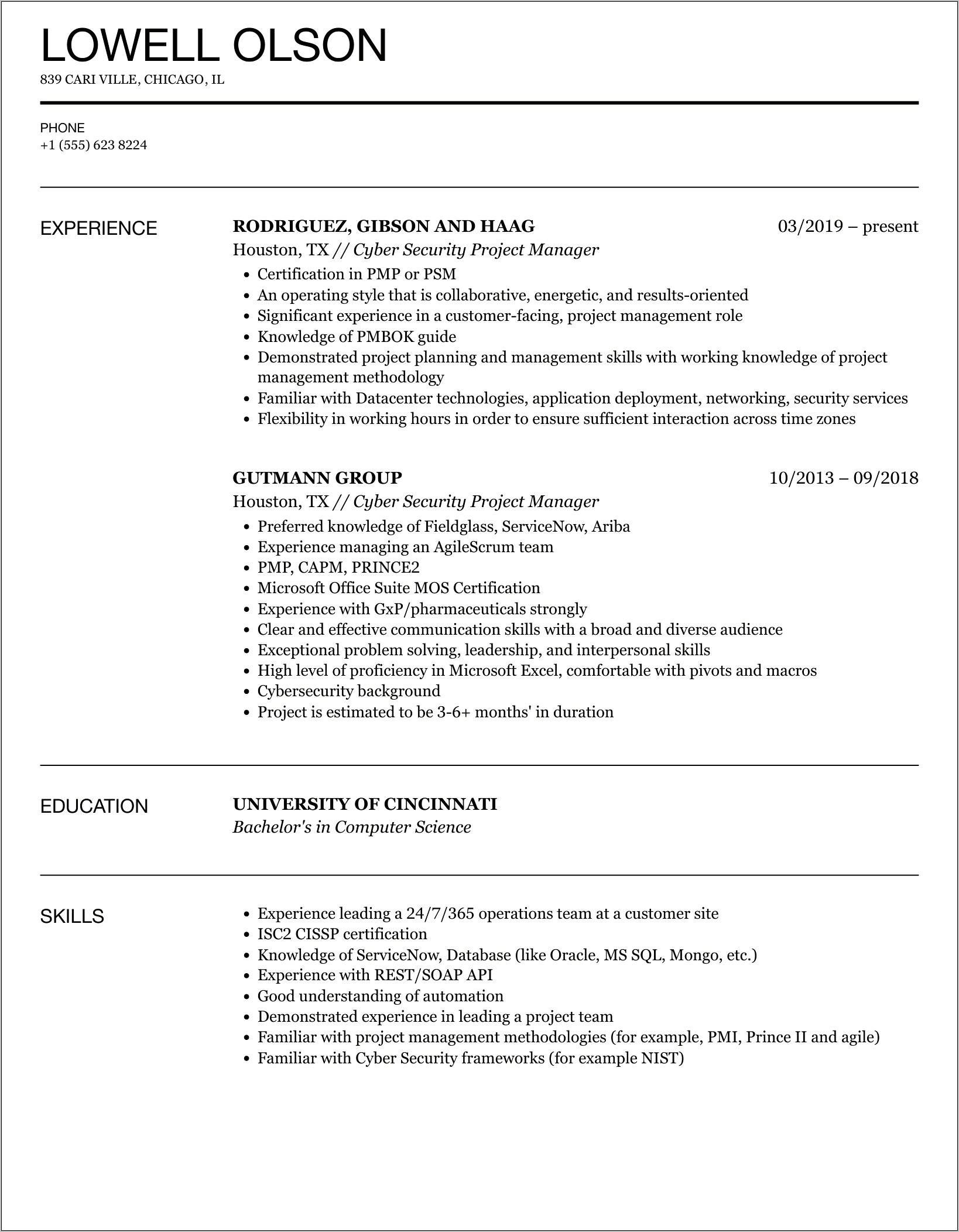 Cyber Security Project Manager Resume
