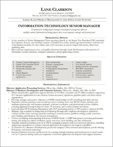Data Warehousing Project Manager Resume