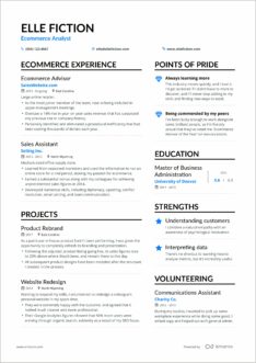 Director Of Ecommerce Resume Objective