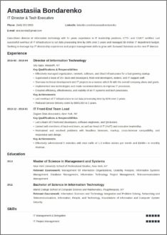 Director Of It Resume Objective