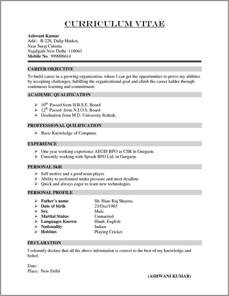 Download Sample Of Basic Resume