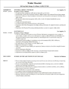Ecommerce Project Manager Resume Sample