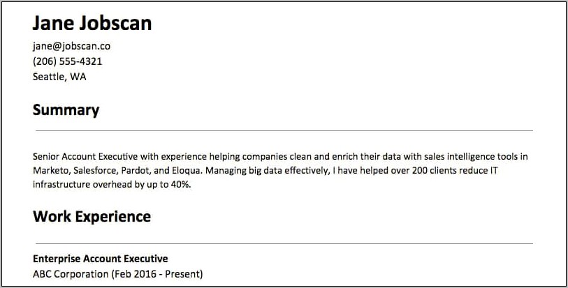 Employment Summary For Resume Examples