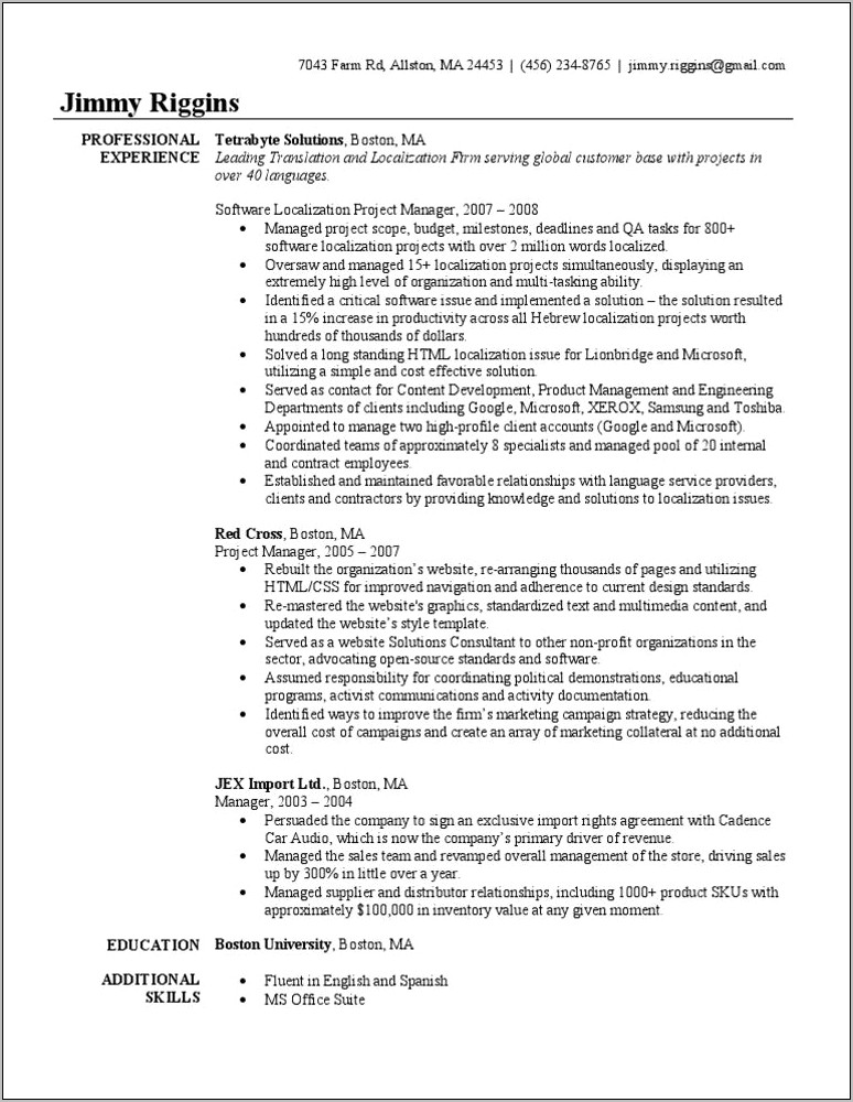 English Resume Example Project Manager