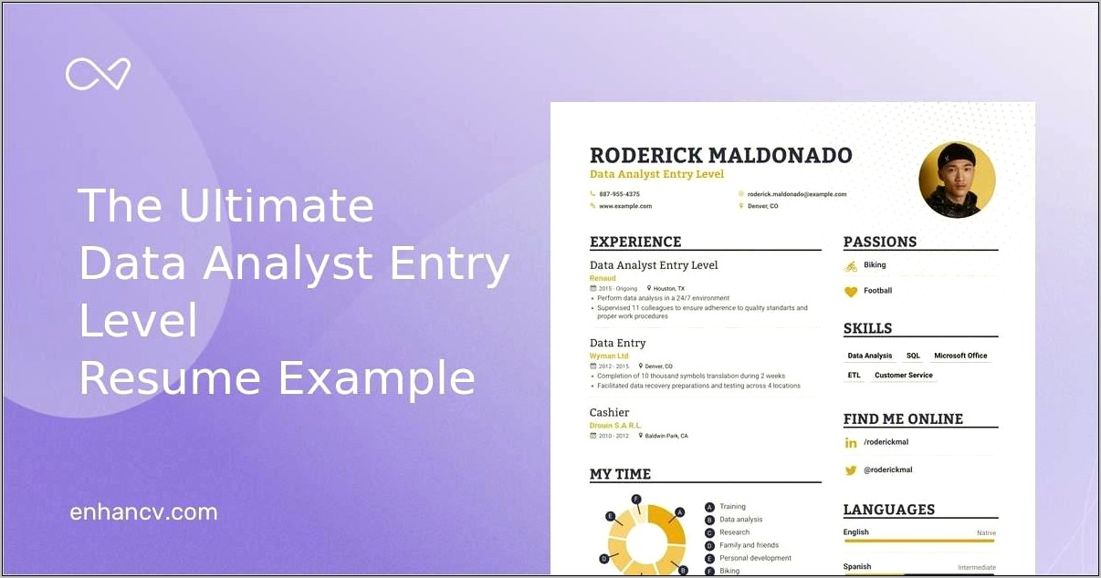 Entry Level Analyst Resume Example