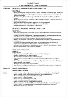 Entry Level Consultant Resume Sample