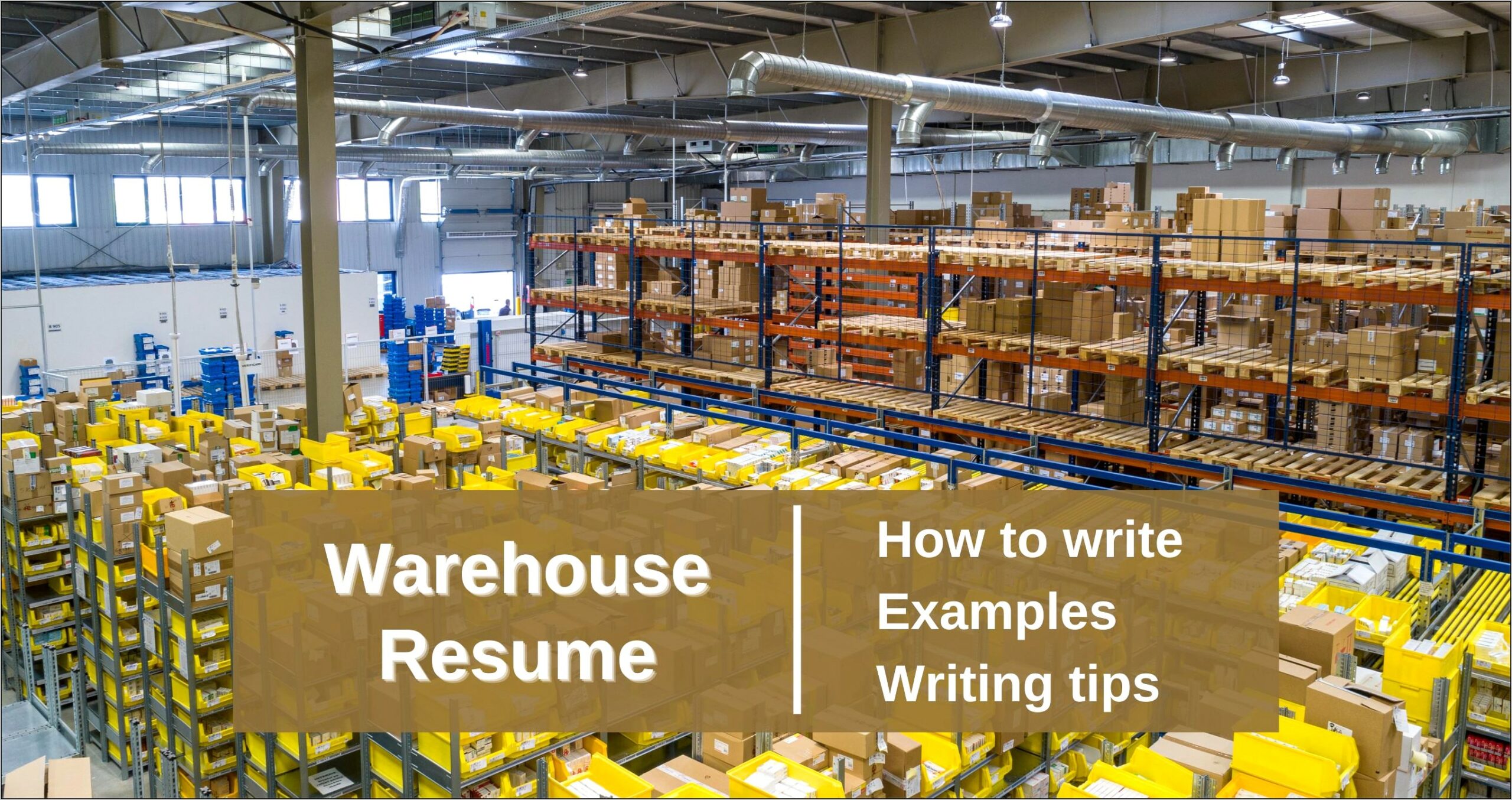 Entry Level Warehouse Resume Sample