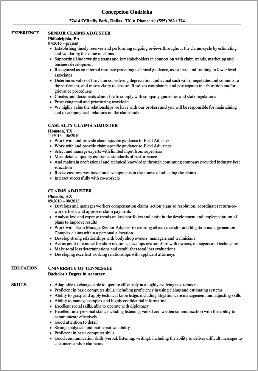 Example Of Claims Adjuster Resume