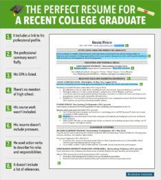 Example Of Post Graduate Resume
