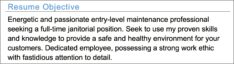 Example Of Professional Resume Objective