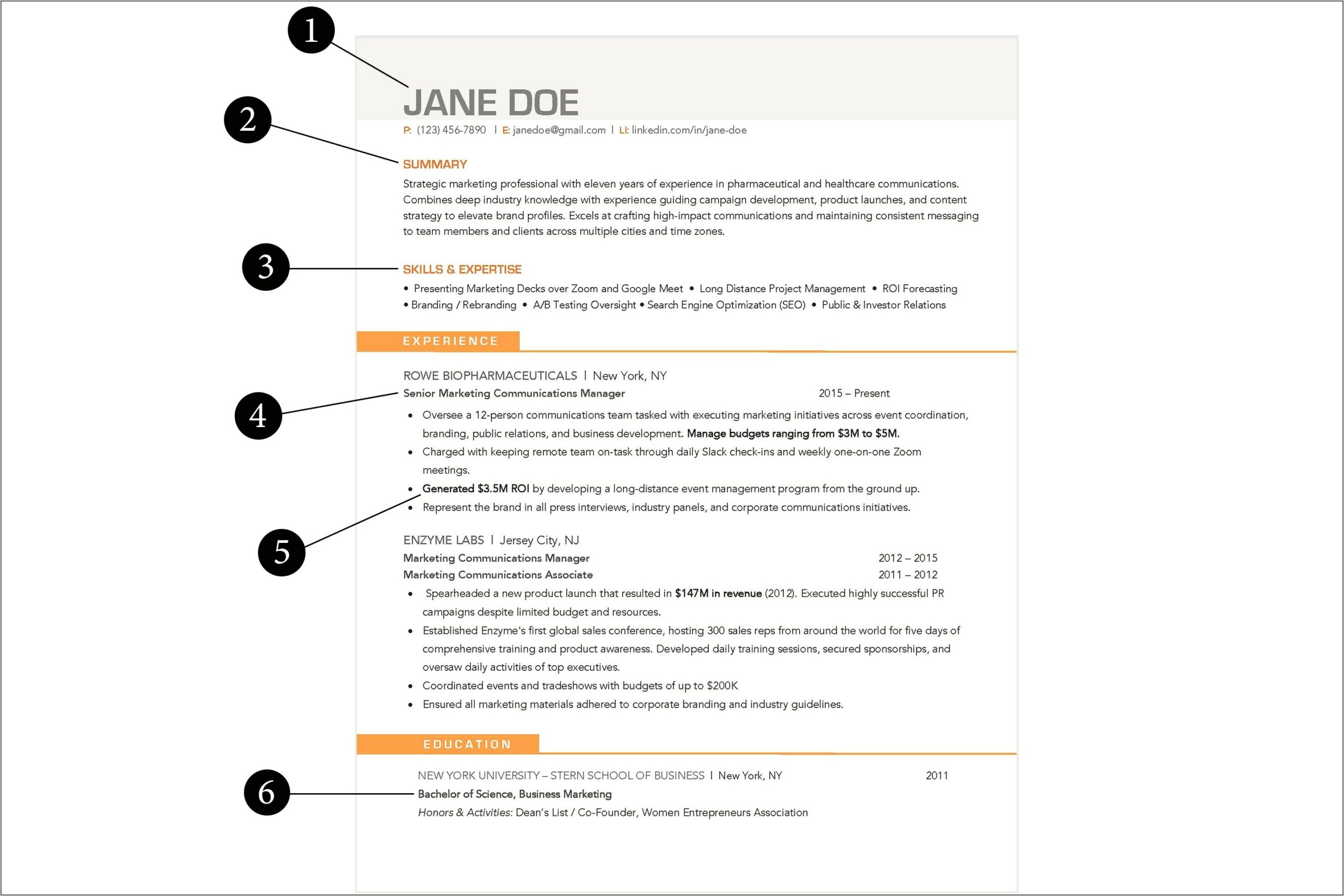 Example Of Strong Professional Resume