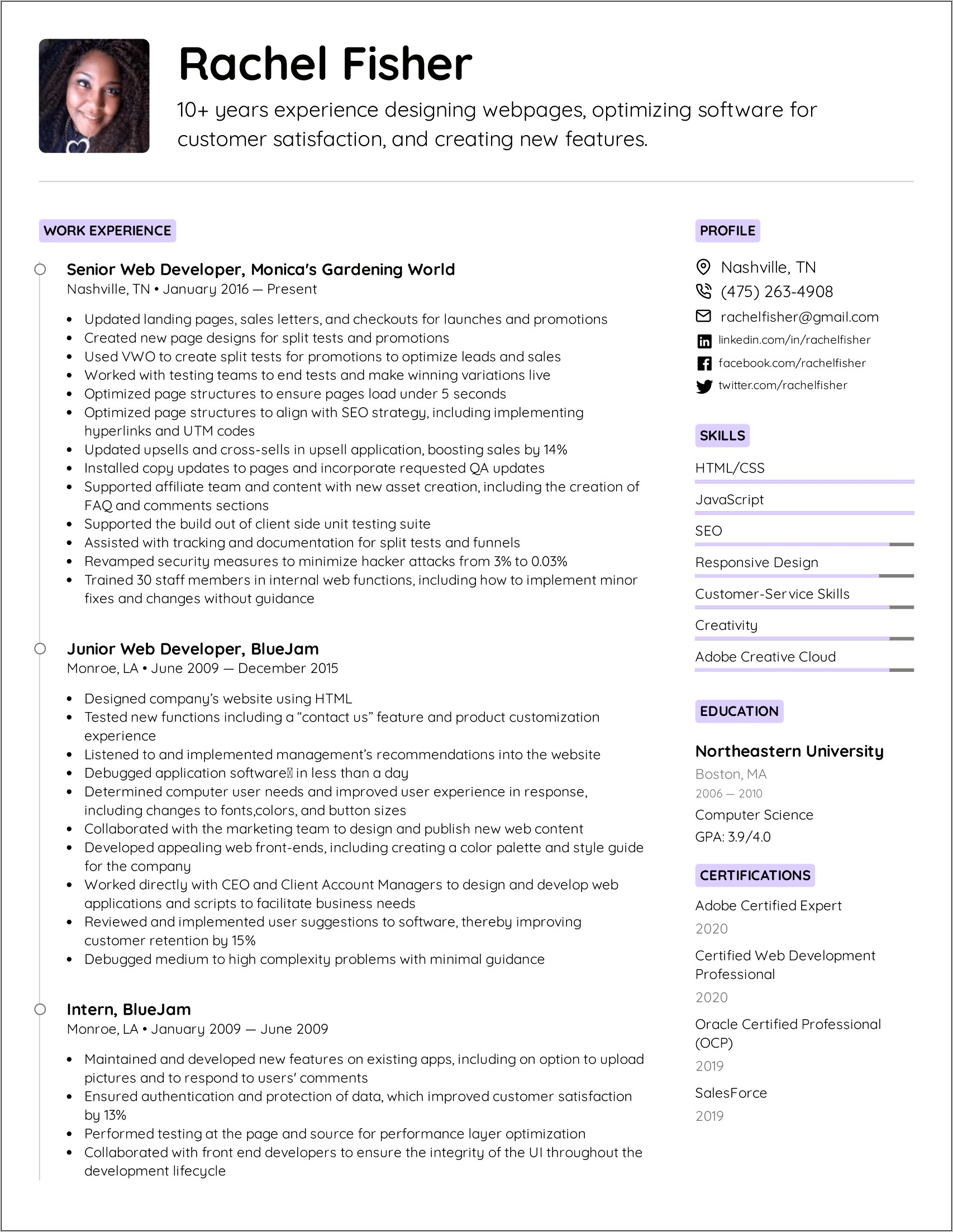 Example Of Web Designer Resume