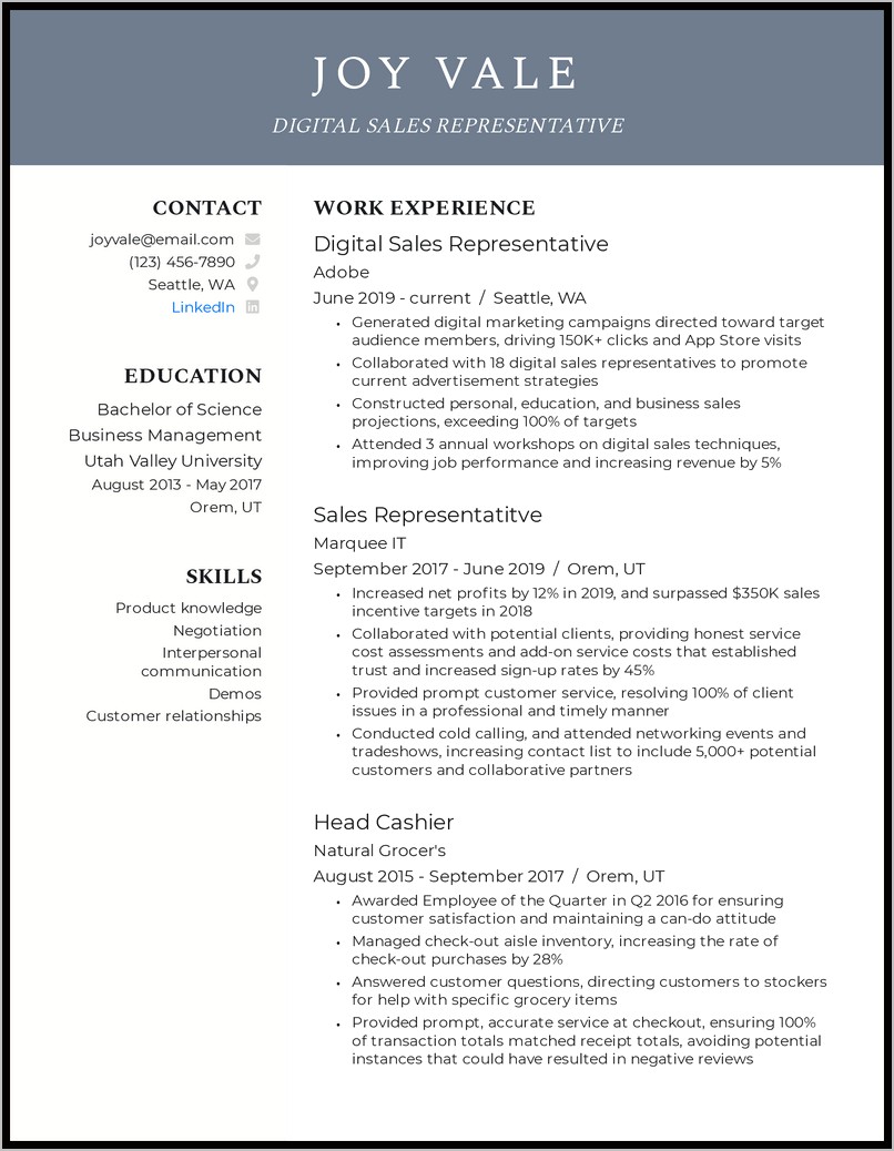 Example Resume For Sales Job