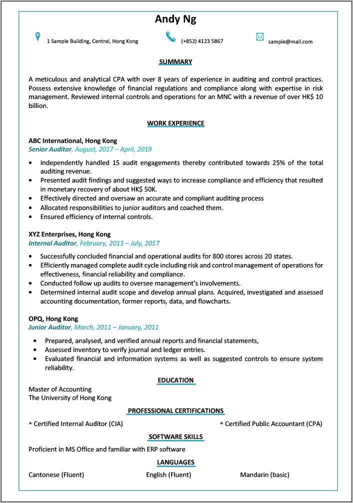 Example Resume Of An Auditor