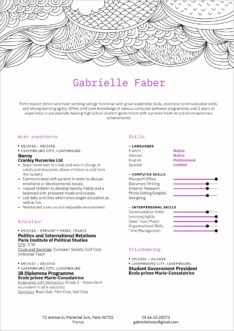Examples Of Profession Al Resumes