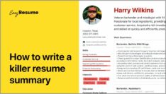 Examples Of Resume Summary Paragraphs