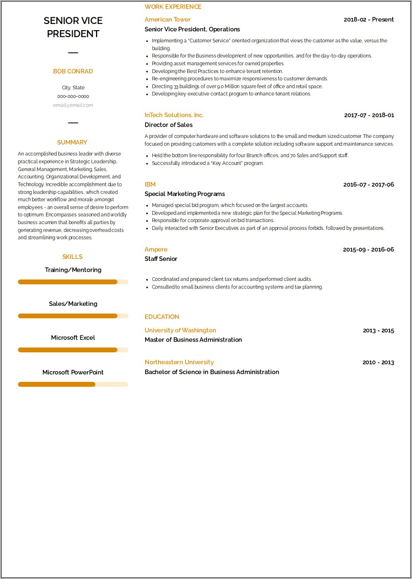 Examples Of Vice President Resume