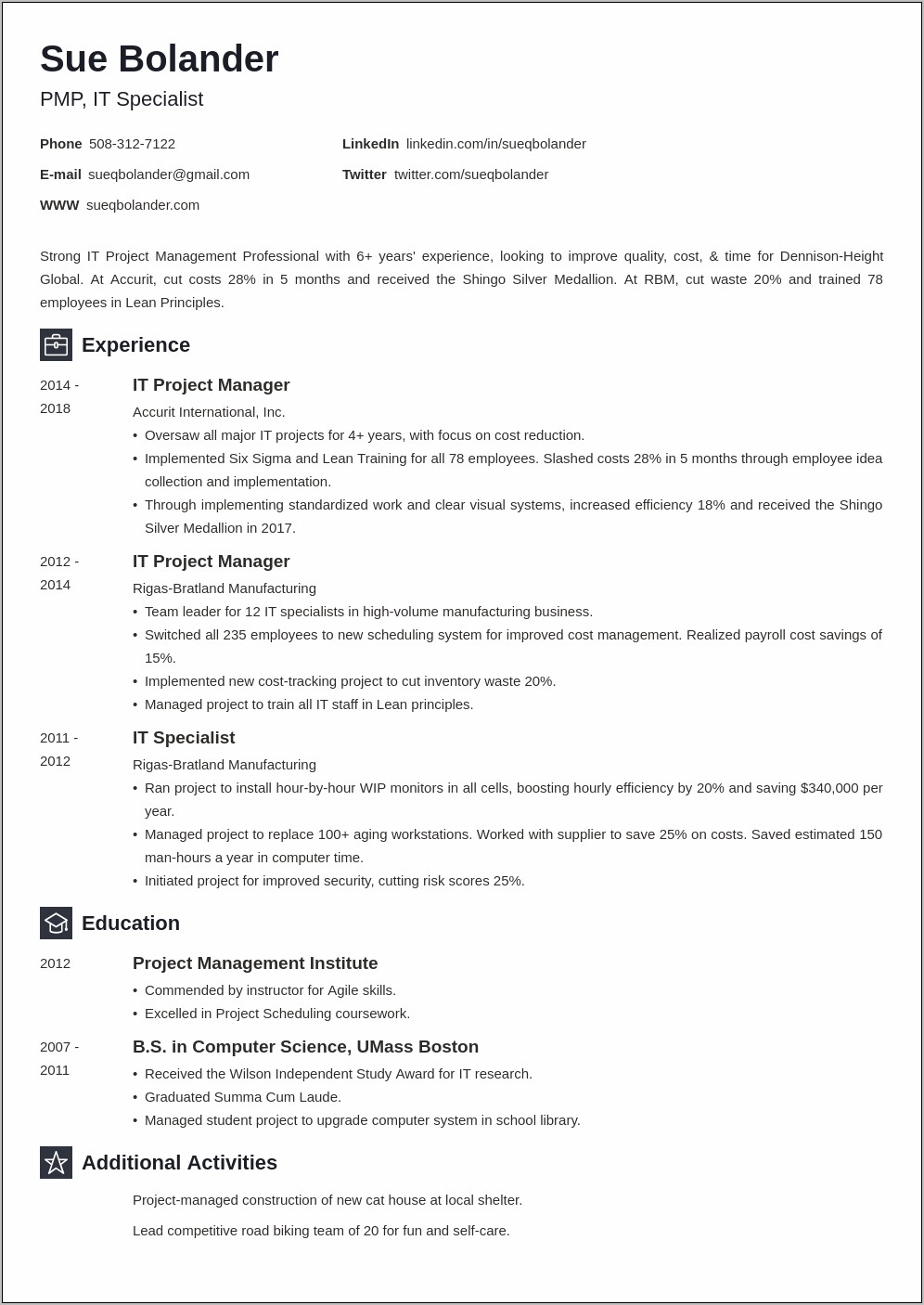 Executive Summary Resume Project Manager